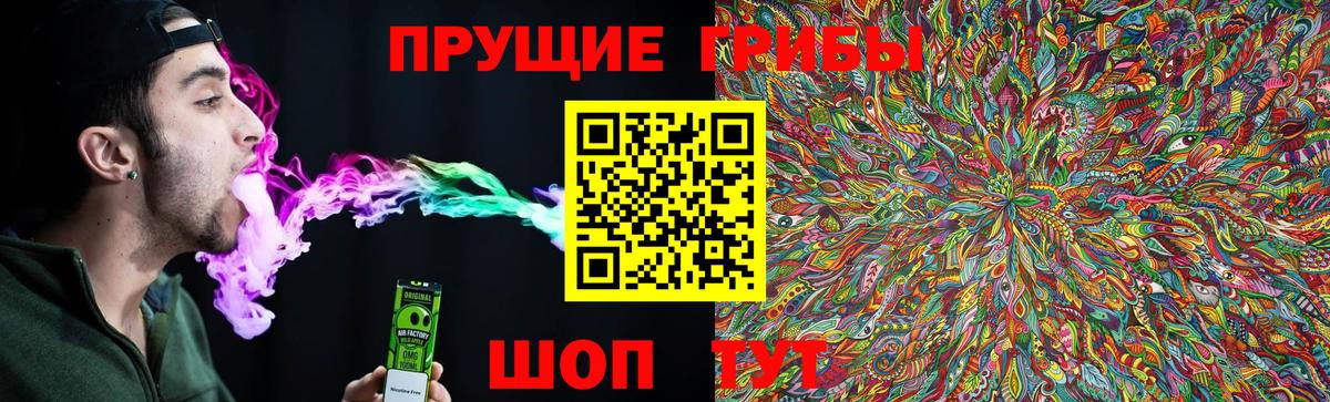 Чехов  Псилоцибиновые грибы Psilocybine cubensis  Вход с VPN 