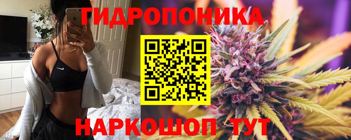 Шишки марихуана гибрид Чехов